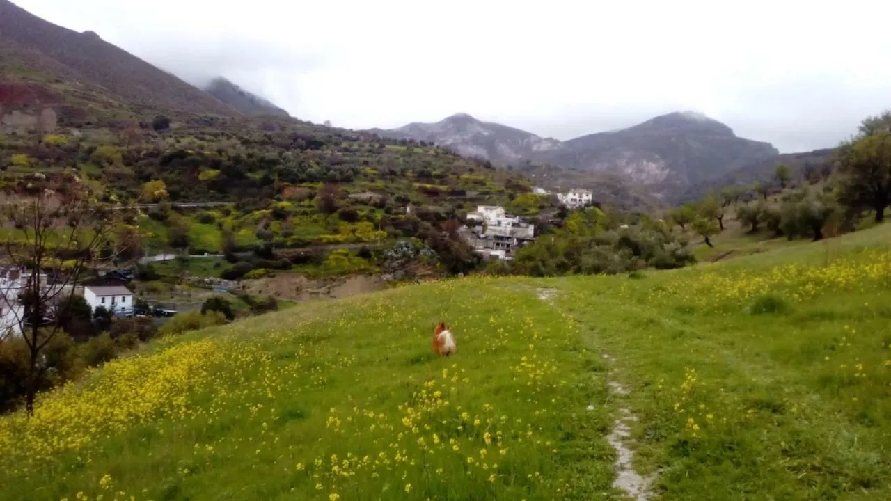 Apartamento Monachil Pueblo Apartment